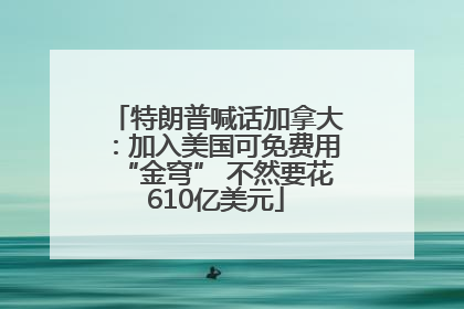 特朗普喊话加拿大：加入美国可免费用“金穹” 不然要花610亿美元