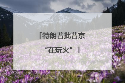 特朗普批普京“在玩火”