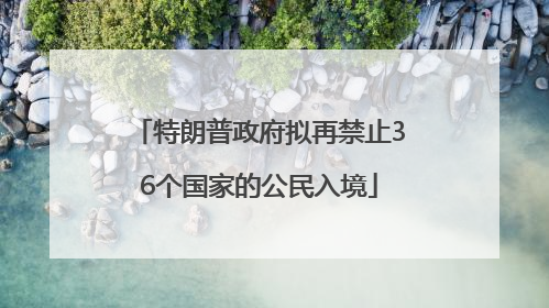 特朗普政府拟再禁止36个国家的公民入境