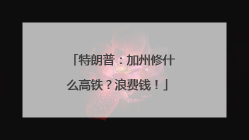 特朗普：加州修什么高铁？浪费钱！