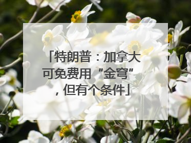 特朗普：加拿大可免费用“金穹”，但有个条件