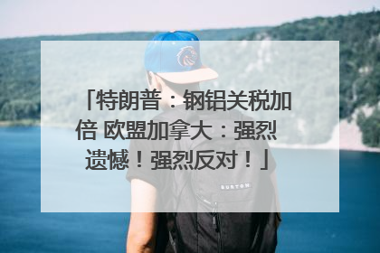 特朗普：钢铝关税加倍 欧盟加拿大：强烈遗憾！强烈反对！
