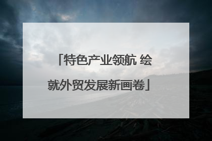 特色产业领航 绘就外贸发展新画卷