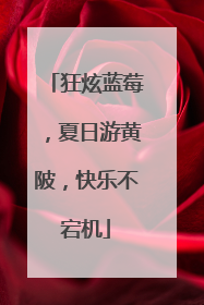 狂炫蓝莓，夏日游黄陂，快乐不宕机