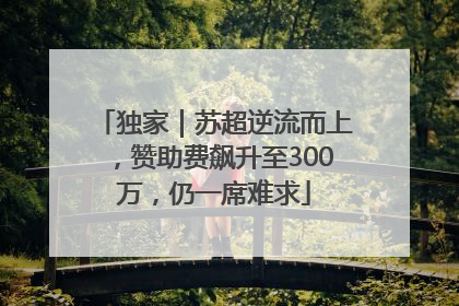 独家｜苏超逆流而上，赞助费飙升至300万，仍一席难求