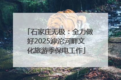 石家庄无极：全力做好2025滹沱河畔文化旅游季保电工作