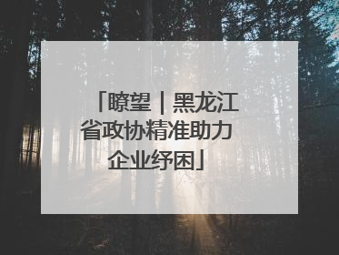 瞭望｜黑龙江省政协精准助力企业纾困