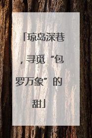 琼岛深巷，寻觅“包罗万象”的甜