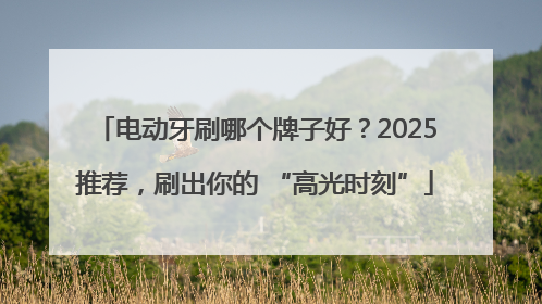 电动牙刷哪个牌子好？2025推荐，刷出你的 “高光时刻”