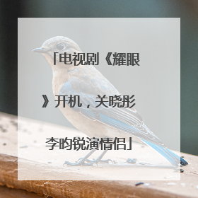 电视剧《耀眼》开机，关晓彤李昀锐演情侣