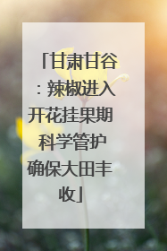 甘肃甘谷：辣椒进入开花挂果期 科学管护确保大田丰收
