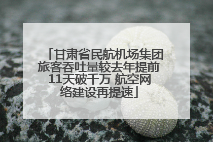 甘肃省民航机场集团旅客吞吐量较去年提前11天破千万 航空网络建设再提速