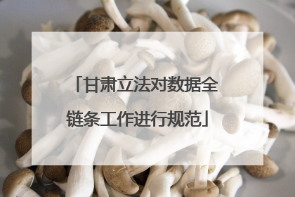 甘肃立法对数据全链条工作进行规范