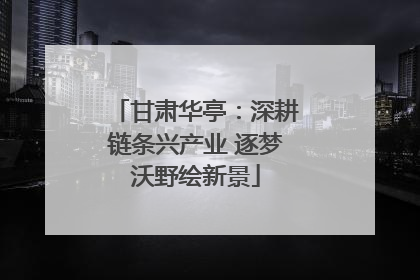 甘肃华亭：深耕链条兴产业 逐梦沃野绘新景