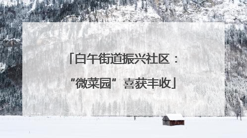 白午街道振兴社区：“微菜园”喜获丰收