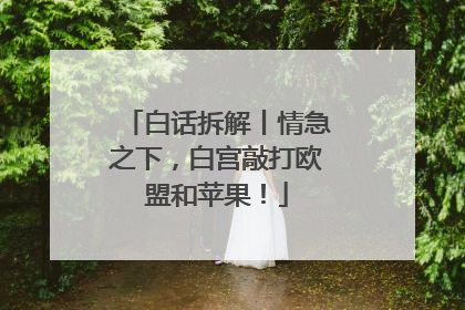 白话拆解丨情急之下，白宫敲打欧盟和苹果！