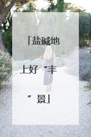 盐碱地上好“丰”景