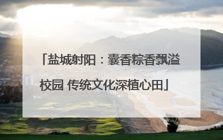 盐城射阳：囊香粽香飘溢校园 传统文化深植心田