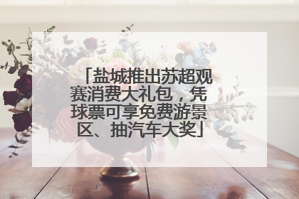 盐城推出苏超观赛消费大礼包，凭球票可享免费游景区、抽汽车大奖