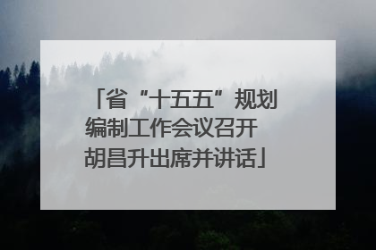 省“十五五”规划编制工作会议召开 胡昌升出席并讲话