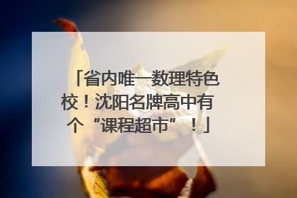 省内唯一数理特色校！沈阳名牌高中有个“课程超市”！