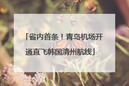 省内首条！青岛机场开通直飞韩国清州航线