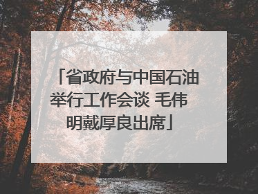 省政府与中国石油举行工作会谈 毛伟明戴厚良出席