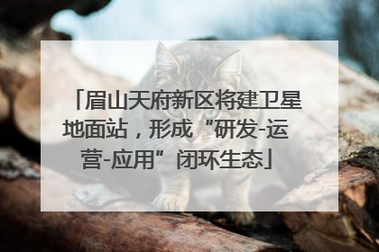 眉山天府新区将建卫星地面站，形成“研发-运营-应用”闭环生态