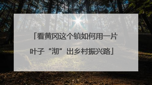 看黄冈这个镇如何用一片叶子“沏”出乡村振兴路