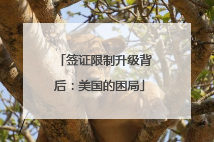 签证限制升级背后：美国的困局