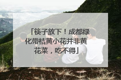 筷子放下！成都绿化带桔黄小花并非黄花菜，吃不得