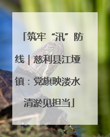 筑牢“汛”防线｜慈利县江垭镇：党旗映溇水 清淤见担当
