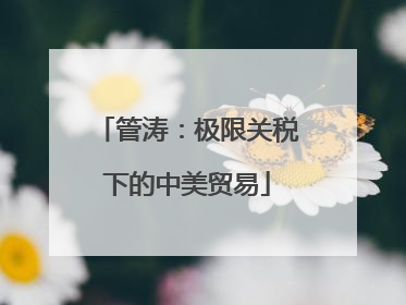 管涛：极限关税下的中美贸易