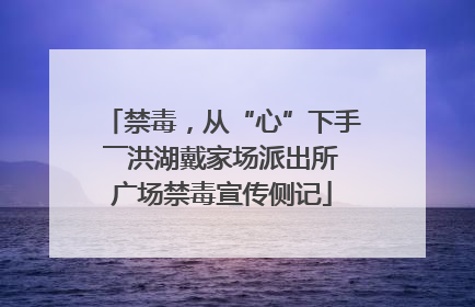 禁毒，从“心”下手――洪湖戴家场派出所广场禁毒宣传侧记