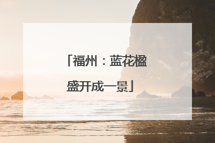 福州：蓝花楹盛开成一景