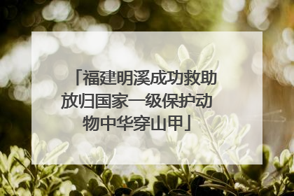 福建明溪成功救助放归国家一级保护动物中华穿山甲