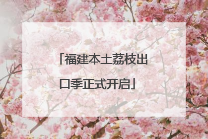 福建本土荔枝出口季正式开启