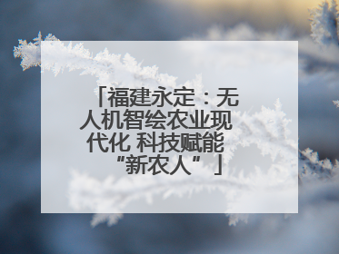 福建永定：无人机智绘农业现代化 科技赋能“新农人”