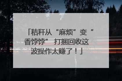 秸秆从“麻烦”变“香饽饽” 打捆回收这波操作太赚了！