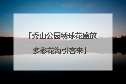 秀山公园绣球花盛放 多彩花海引客来
