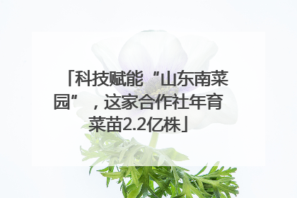 科技赋能“山东南菜园”，这家合作社年育菜苗2.2亿株