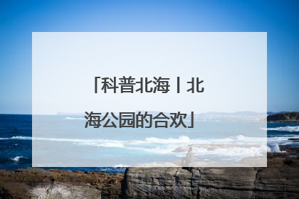 科普北海丨北海公园的合欢