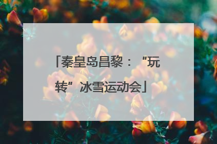 秦皇岛昌黎：“玩转”冰雪运动会