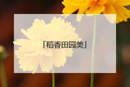 稻香田园美