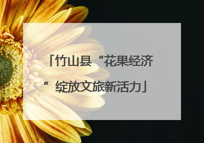 竹山县“花果经济”绽放文旅新活力