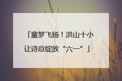 童梦飞扬！洪山十小让诗意绽放“六一”