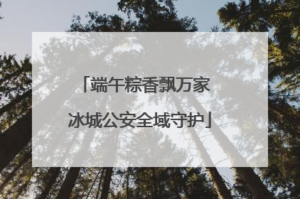 端午粽香飘万家 冰城公安全域守护