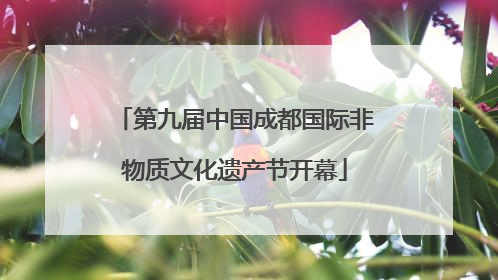 第九届中国成都国际非物质文化遗产节开幕
