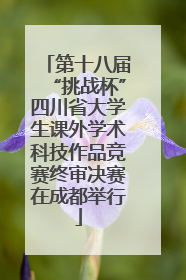 第十八届“挑战杯”四川省大学生课外学术科技作品竞赛终审决赛在成都举行