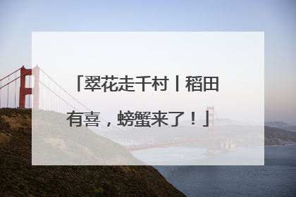 翠花走千村丨稻田有喜，螃蟹来了！